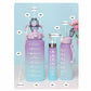 Sports Water Bottles 3 Pcs Set with Motivational Time Marker